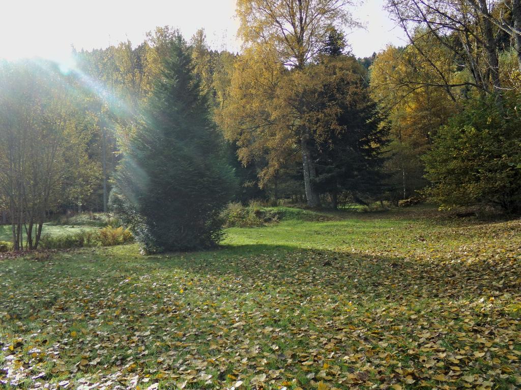 Hotel-Spa & Restaurant Logis Domaine Langmatt Murbach Bagian luar foto