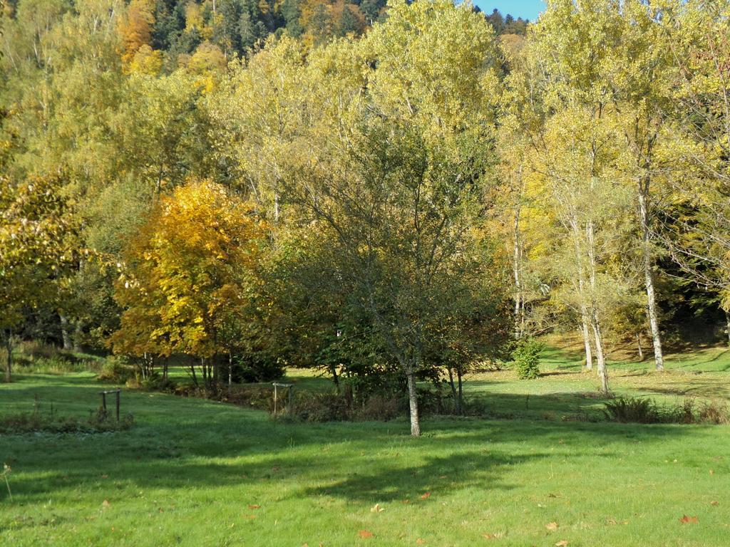 Hotel-Spa & Restaurant Logis Domaine Langmatt Murbach Bagian luar foto