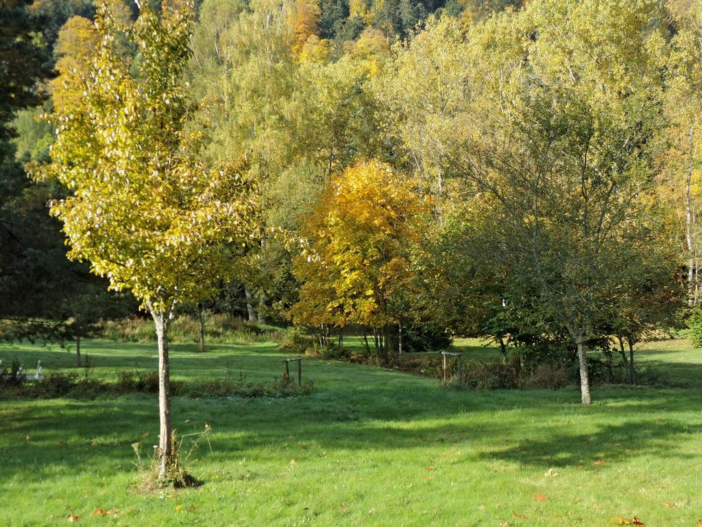 Hotel-Spa & Restaurant Logis Domaine Langmatt Murbach Bagian luar foto
