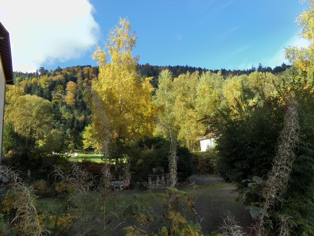 Hotel-Spa & Restaurant Logis Domaine Langmatt Murbach Bagian luar foto